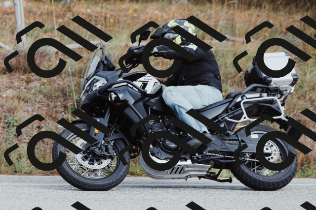 202511021526-_04A4000_c3