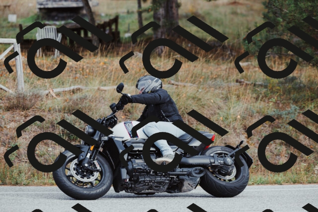 202511021526-_04A4001_c3