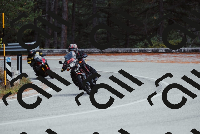 202511021529-_04A4004_c3