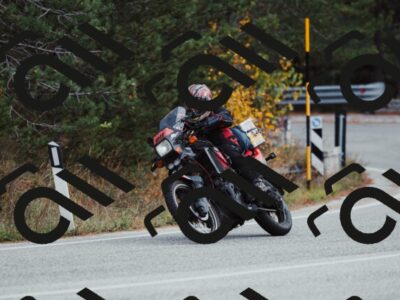 202511021529-_04A4005_c3