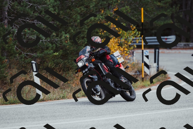 202511021529-_04A4005_c3