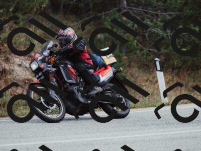 202511021529-_04A4006_c3