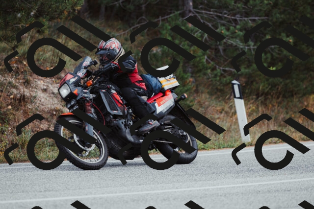 202511021529-_04A4006_c3