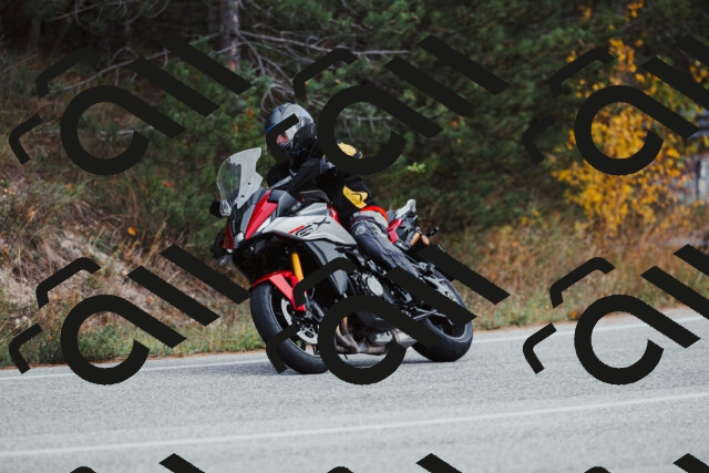 202511021529-_04A4007_c3