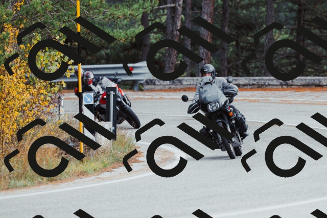 202511021530-_04A4010_c3