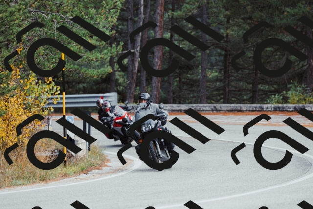 202511021530-_04A4011_c3