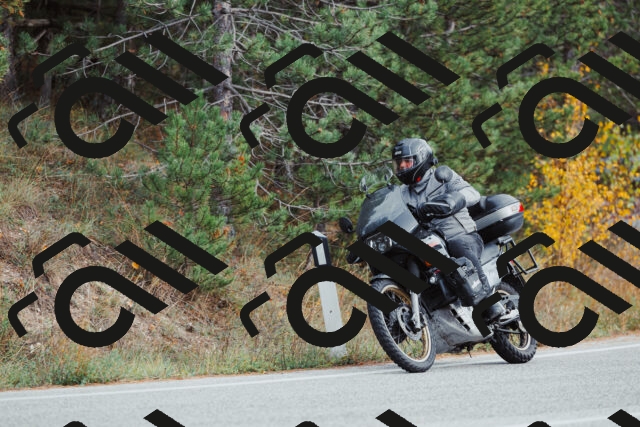 202511021530-_04A4012_c3