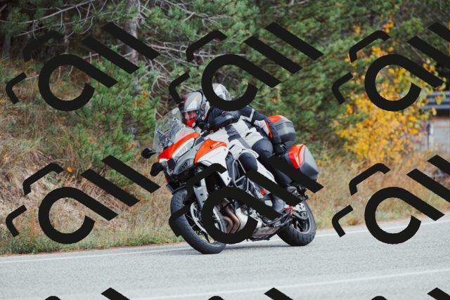 202511021530-_04A4013_c3