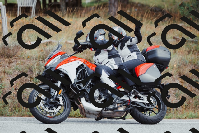 202511021530-_04A4015_c3