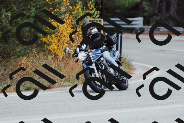 202511021531-_04A4016_c3