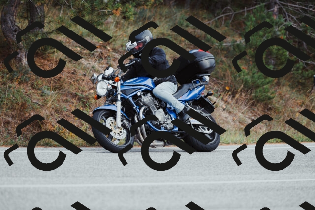 202511021531-_04A4017_c3