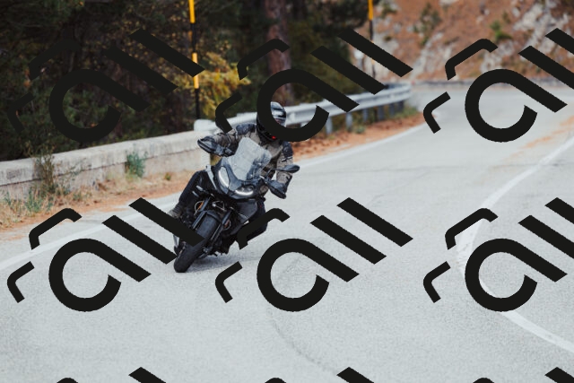 202511021532-_04A4019_c3