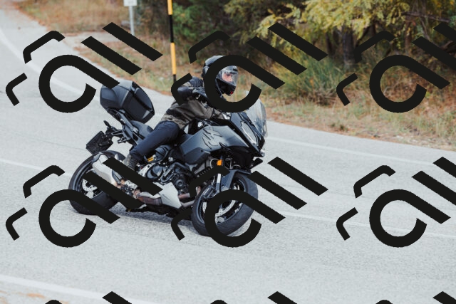 202511021532-_04A4020_c3