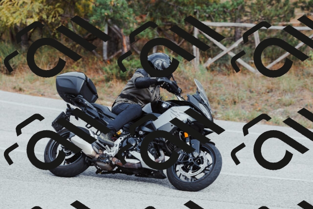 202511021532-_04A4021_c3