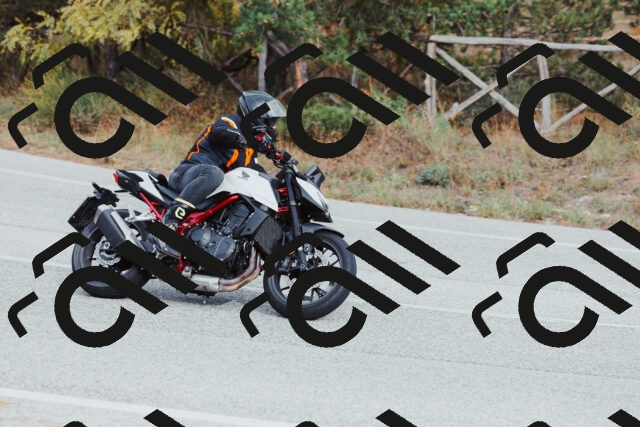 202511021535-_04A4024_c3