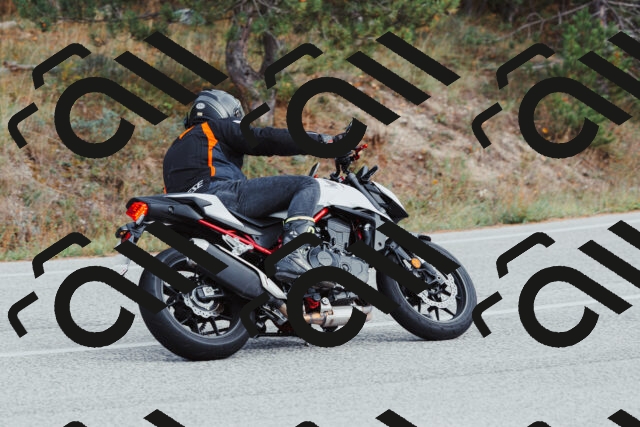 202511021535-_04A4026_c3