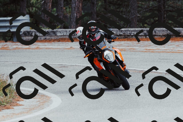 202511021542-_04A4032_c3