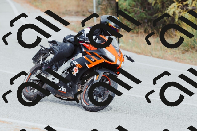 202511021544-_04A4036_c3