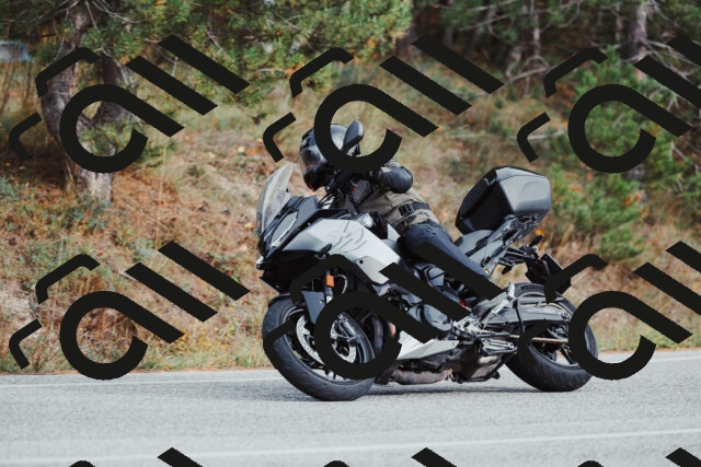 202511021544-_04A4040_c3