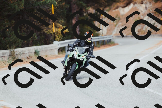 202511021545-_04A4042_c3