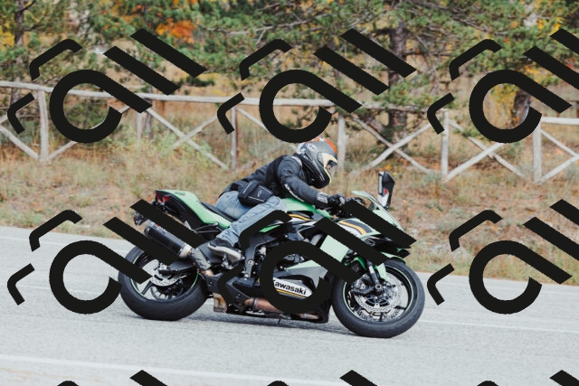 202511021545-_04A4044_c3