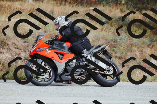 202511021551-_04A4063_c3