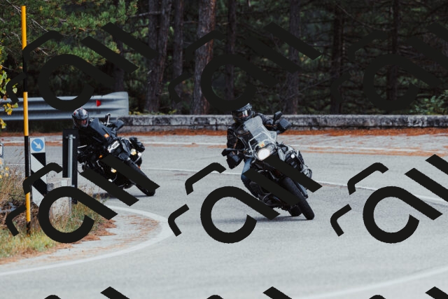 202511021554-_04A4064_c3