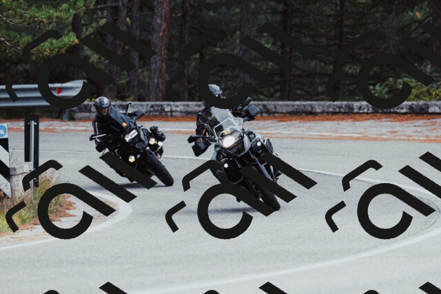 202511021554-_04A4065_c3