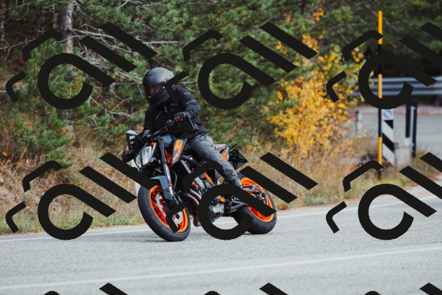 202511021554-_04A4068_c3