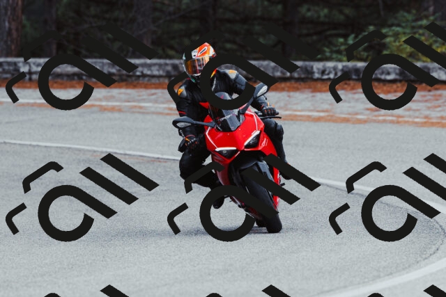 202511021556-_04A4076_c3