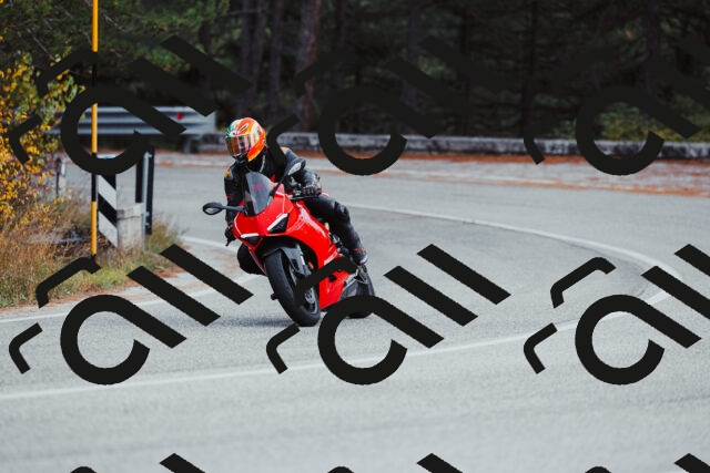 202511021556-_04A4077_c3