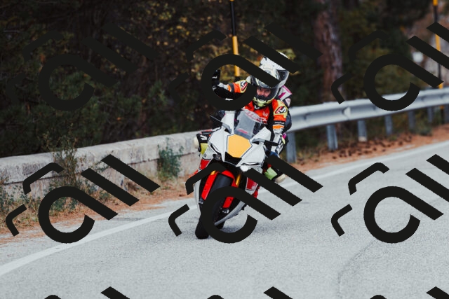 202511021557-_04A4081_c3