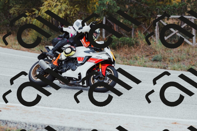 202511021558-_04A4083_c3