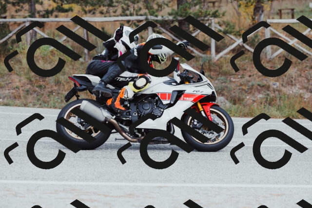 202511021558-_04A4084_c3