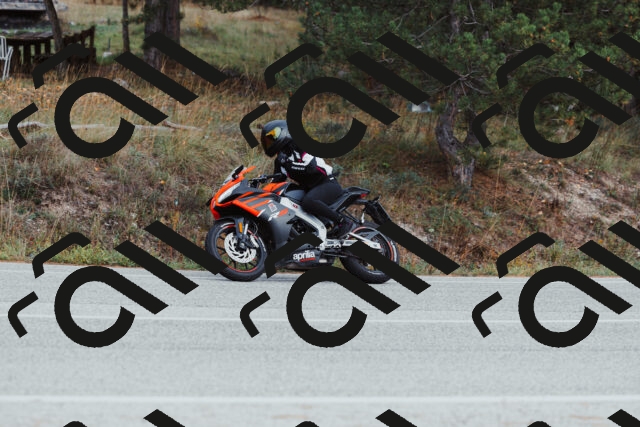 202511021558-_04A4087_c3