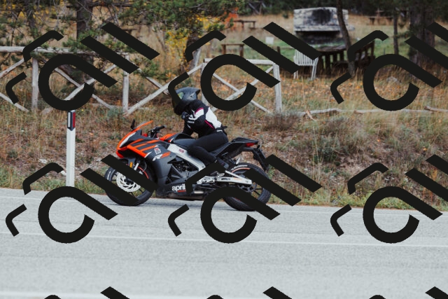 202511021558-_04A4088_c3