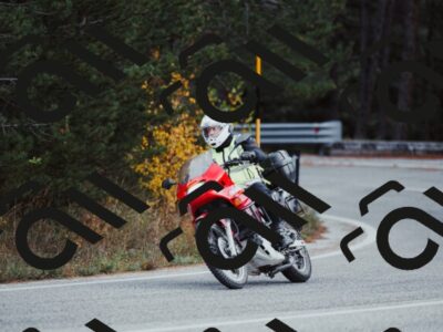 202511021639-_04A4170_c3