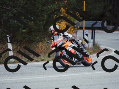 202511021642-_04A4193_c3