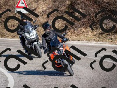 202602281156-DSC_1133_c2