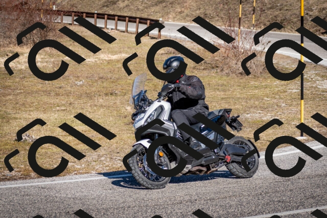 202602281156-DSC_1137_c2