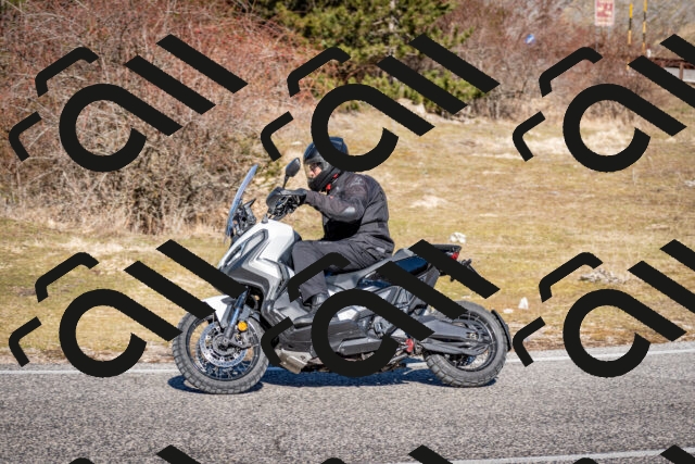 202602281156-DSC_1138_c2