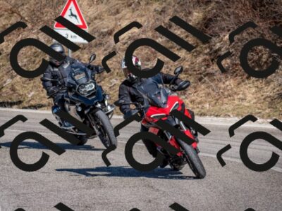 202602281218-DSC_1148_c2