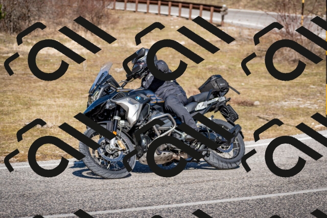 202602281218-DSC_1151_c2