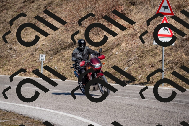 202602281220-DSC_1153_c2