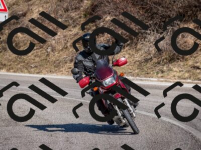 202602281220-DSC_1154_c2