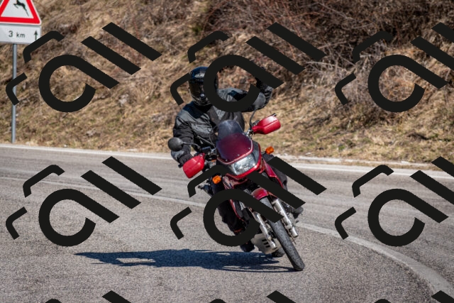 202602281220-DSC_1154_c2