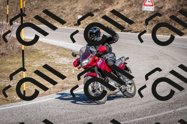 202602281220-DSC_1155_c2