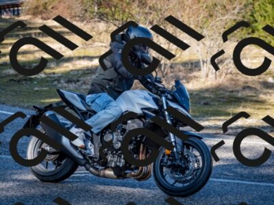 202602281226-DSC_1168_c2