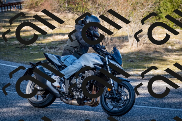 202602281226-DSC_1168_c2