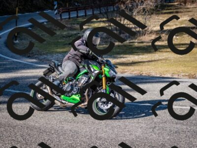 202602281236-DSC_1173_c2